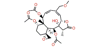 Fragilisinin G